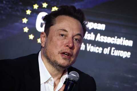 Tesla ditched language saying it was 'a majority-minority workforce' after Elon Musk said 'DEI must ..