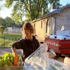 Exploring Educational Programs and Workshops at Farmers Markets in Central Texas