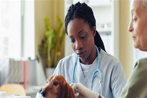 The Importance of Qualified and Experienced Animal Care Staff in Long Beach, CA