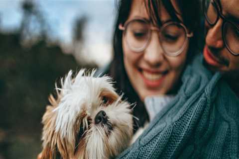 Keeping Your Pets Happy and Healthy: Veterinarians in Augusta, GA