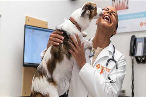 The Best Pet Health Services in Augusta, GA: A Vet's Perspective