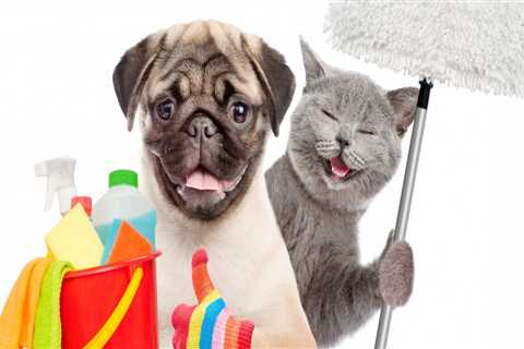 Pet-Friendly Cleaning Services in Austin, Texas