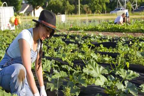 Funding Opportunities for Urban Farmers in London: A Comprehensive Guide