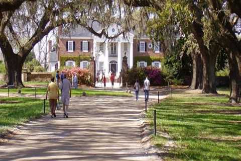 The Enduring Legacy of Agriculture in Charleston, SC
