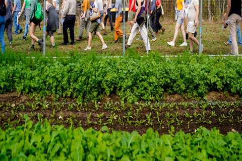 The Impact of Agricultural Programs on Sustainable Farming in Charleston, SC