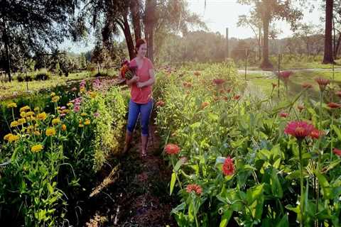 The Struggles of Participating in Agricultural Programs in Charleston, SC