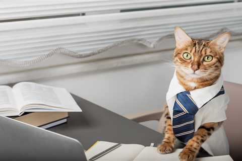 Biglaw Associate Reportedly Loses Job Over Legal Tantrum Related To Kittens