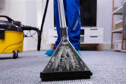 Preparing Your Home for Professional Carpet Cleaning Services