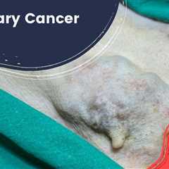 Mammary Cancer in Dogs: Stages, Causes and Treatment