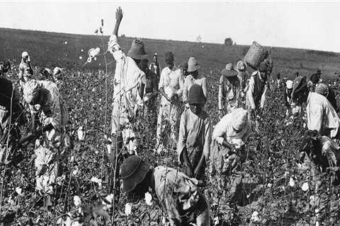 The Lasting Impact of Jim Crow Laws on Plantations in Broward County, FL