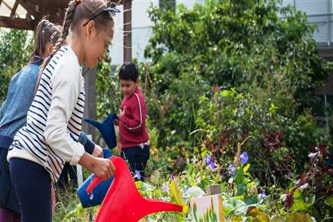 How Businesses in the Bronx, New York Support Local Charities and Organizations