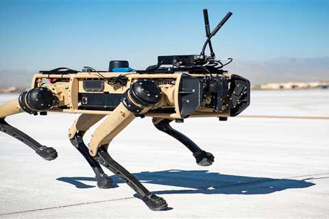 US Marines Special Ops test rifle-wielding, AI-powered robot dogs, report says