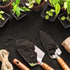 How To Move Your Garden Without Killing Your Plants
