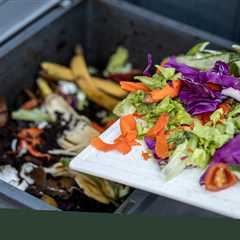 Does Composting Make Sense For Your Business? How To Get Started