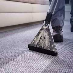 Step-By-Step: How Carpet Cleaning Services Can Transform Your Amsterdam Home