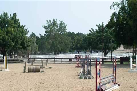 Exploring the Top Riding Arenas in Contra Costa County, CA