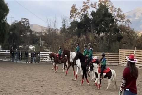 Exploring Dressage-Specific Riding Arenas in Contra Costa County, CA