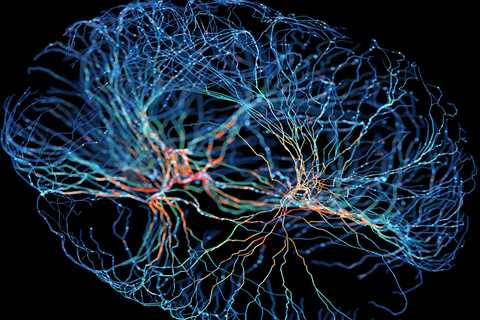 The Kavli Prize Presents: How Your Brain Maps the World [Sponsored]