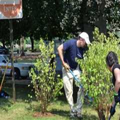 The Strong Sense of Community and Volunteerism in Clark County, WA