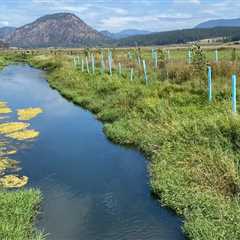 The Local Government's Crucial Role in Environmental Conservation in Franklin County, WA