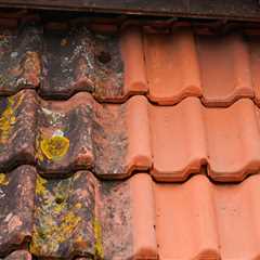 Roslin Roof Cleaning Our Local Roof Cleaners Specialise In Quick And Efficient Roof Cleaning..