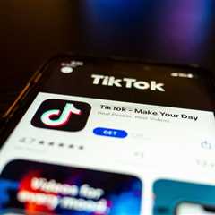 TikTok Turns to Supreme Court in Bid to Avert Shutdown