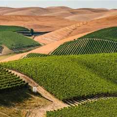 Discovering the Wineries of Clark County, Washington