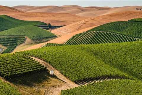 Exploring the Educational and Informational Tours at Wineries in Clark County, Washington