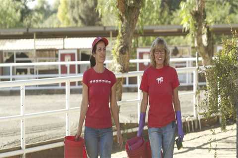 Unlocking the Power of Volunteering in Southern California