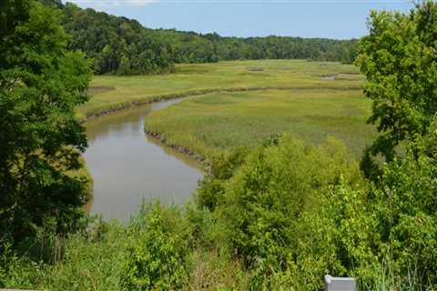 Preserving and Protecting Natural Resources in Northern Virginia