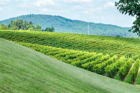 Exploring the Renewable Resources of Northern Virginia
