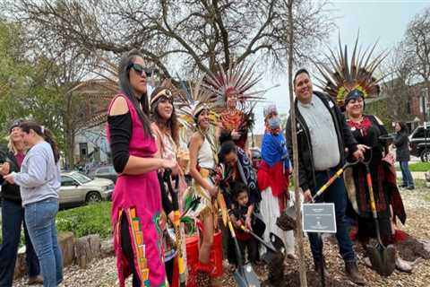 The Power of Community Events in Northeastern Illinois
