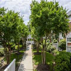 Demystifying Housing Programs in Central Virginia
