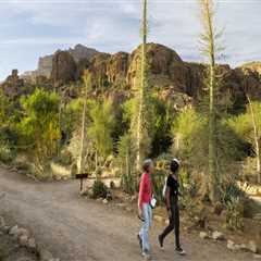 The Power of Partnerships: Foundations in Pinal County, Arizona
