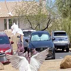 The Impact of Foundations in Pinal County, Arizona: A Local Expert's Perspective
