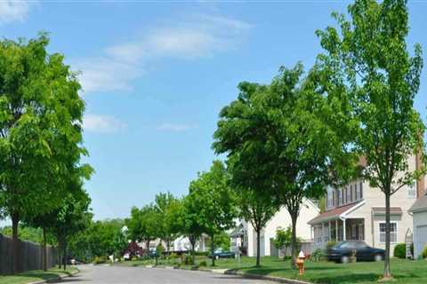 Navigating Housing Programs in Central Virginia