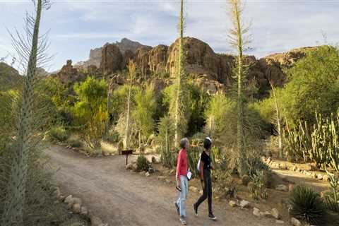 The Power of Partnerships: Foundations in Pinal County, Arizona