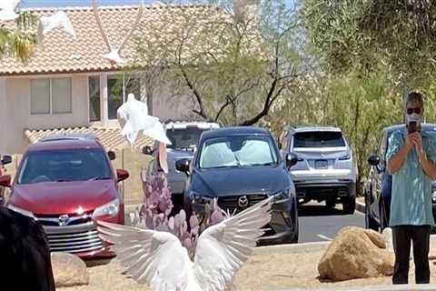 The Impact of Foundations in Pinal County, Arizona: A Local Expert's Perspective