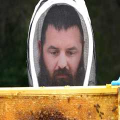 The Buzz on Beekeeping in McDowell County, North Carolina