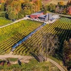 The Ultimate Guide to Planning the Perfect Wine Tour in Chautauqua County, New York
