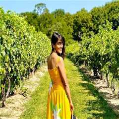 Uncovering the Hidden Wine Paradise in Chautauqua County, New York