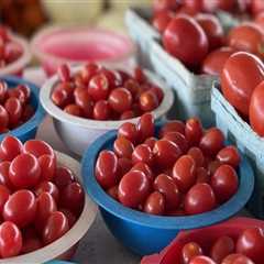 The Vibrant Atmosphere of Public Markets in Duval County, Florida