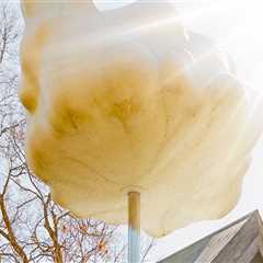 Uncovering the Vibrant Arts and Culture Scene in Southwestern Missouri