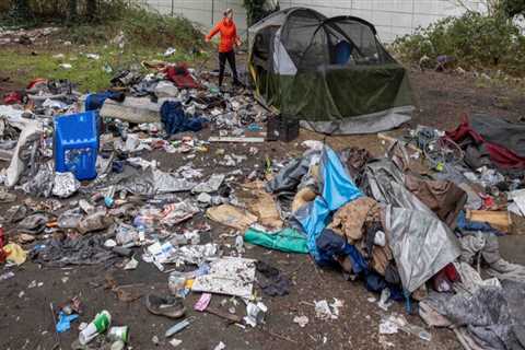 The Police Department's Role in Addressing Homelessness in Southwest Washington