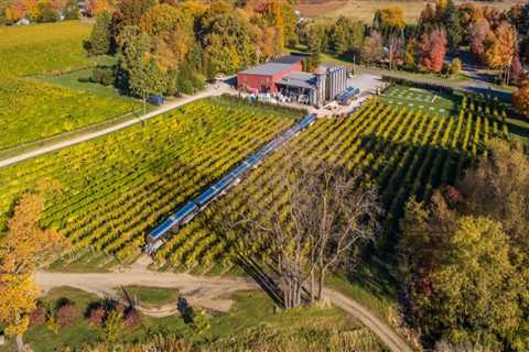 The Ultimate Guide to Planning the Perfect Wine Tour in Chautauqua County, New York