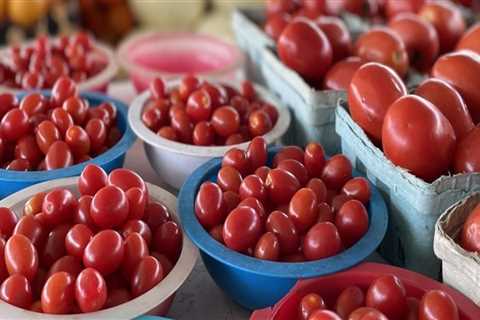 The Vibrant Atmosphere of Public Markets in Duval County, Florida