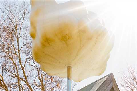 Uncovering the Vibrant Arts and Culture Scene in Southwestern Missouri