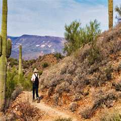 The Legal Landscape for Fashion Designers in Maricopa County, Arizona