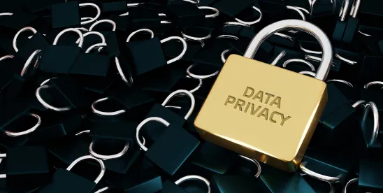 Texas Amends Data Broker Law Definition and Applicability Thresholds