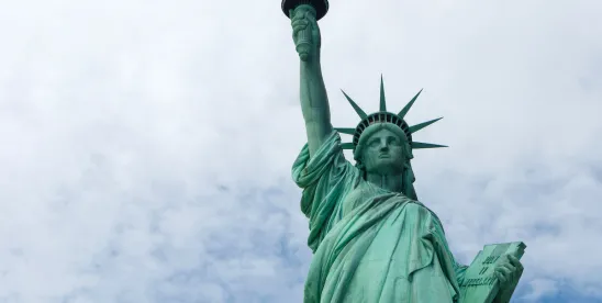Federal Judge Blocks Implementation of EO on Birthright Citizenship in Class Action Case
